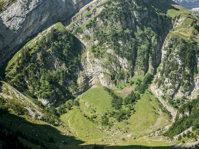Swiss Alps Tour