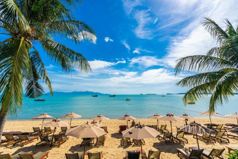 Why Explore Goa? Discover the Magic with GWE Travels
