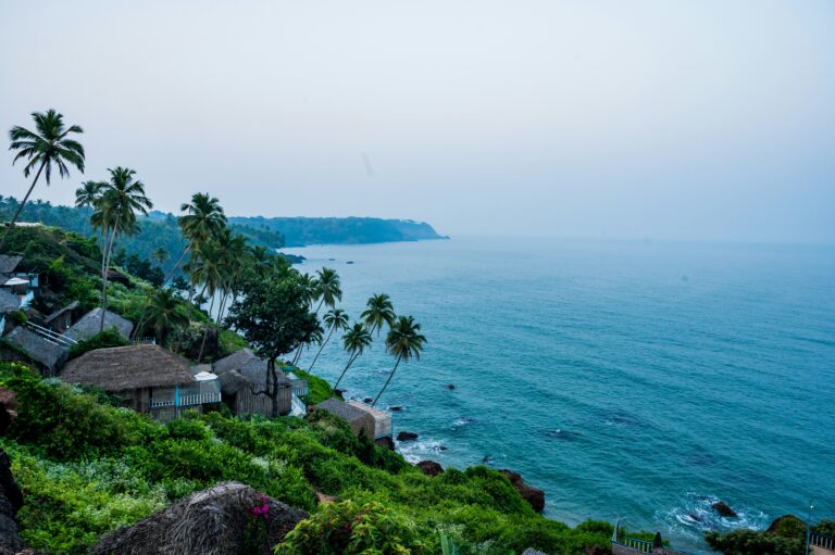 Goa Travel Guide: Beaches, Food & Hidden Gems